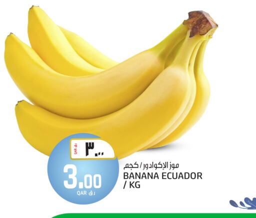 Banana from Ecuador available at Saudia Hypermarket in Qatar - Al Rayyan