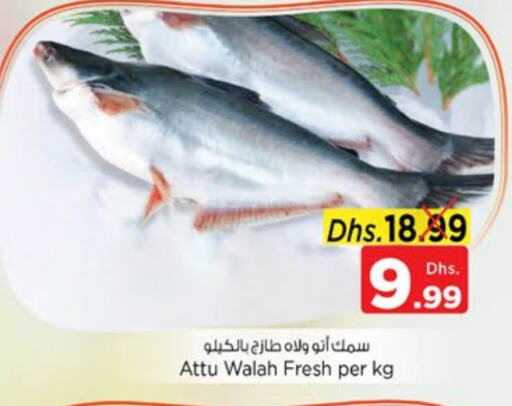 available at Nesto Hypermarket in UAE - Sharjah / Ajman