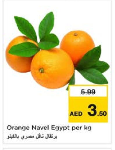 برتقال from Egypt available at نستو هايبرماركت in الإمارات العربية المتحدة , الامارات - الشارقة / عجمان