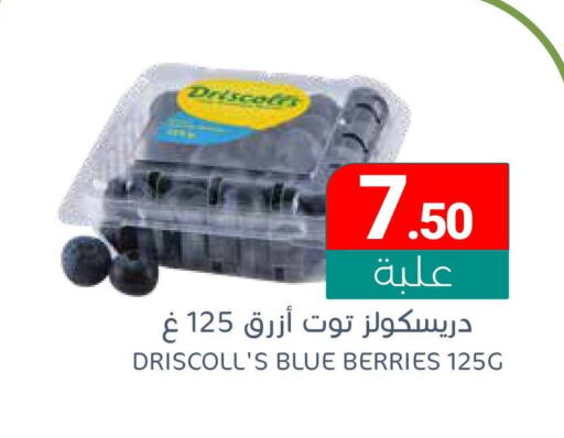 available at Muntazah Markets in KSA, Saudi Arabia, Saudi - Qatif