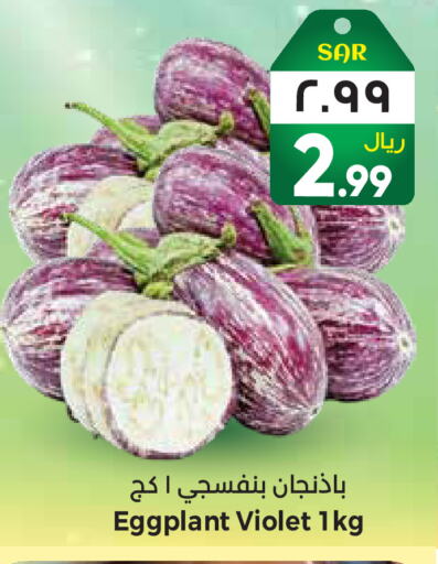 Eggplant available at City Flower in KSA, Saudi Arabia, Saudi - Riyadh