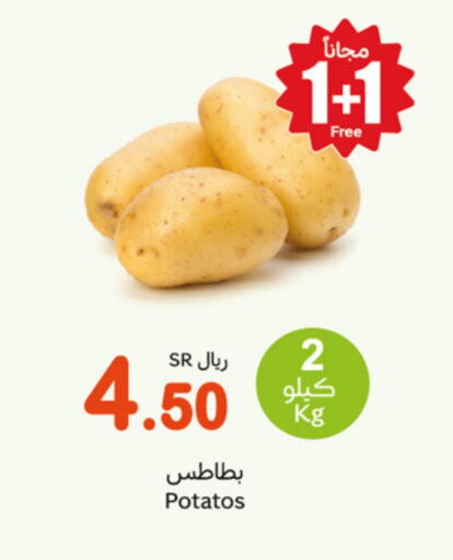 Potato available at Othaim Markets in KSA, Saudi Arabia, Saudi - Abha