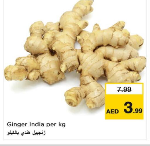 زنجبيل from India available at نستو هايبرماركت in الإمارات العربية المتحدة , الامارات - دبي