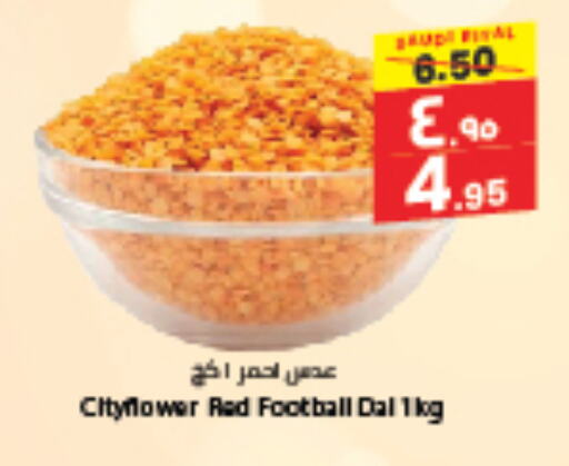 available at City Flower in KSA, Saudi Arabia, Saudi - Hail