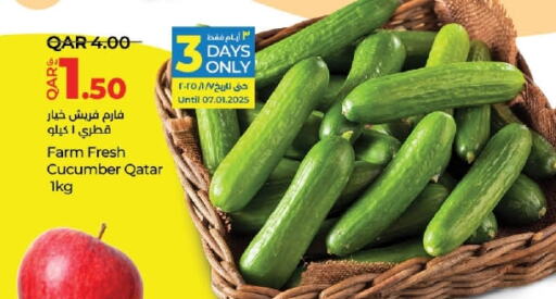 Cucumber from Qatar available at LuLu Hypermarket in Qatar - Al Rayyan