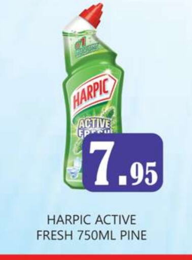 HARPIC Toilet / Drain Cleaner available at Zain Mart Supermarket in UAE - Ras al Khaimah