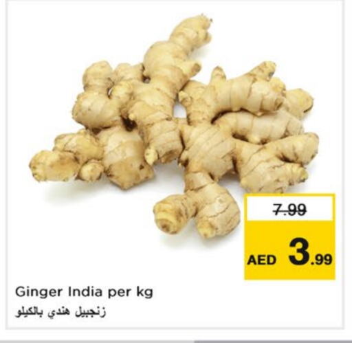 زنجبيل from India available at نستو هايبرماركت in الإمارات العربية المتحدة , الامارات - دبي