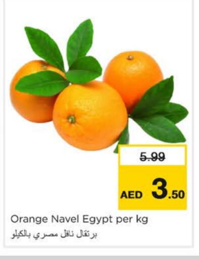 برتقال from Egypt available at نستو هايبرماركت in الإمارات العربية المتحدة , الامارات - دبي