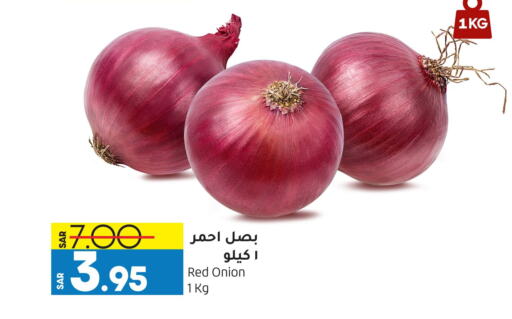 بصل from Qatar available at أسواق استهلاكيه الدوحة المركزية in مملكة العربية السعودية, السعودية, سعودية - المنطقة الشرقية