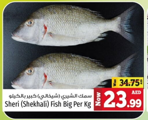 available at Kenz Hypermarket in UAE - Sharjah / Ajman