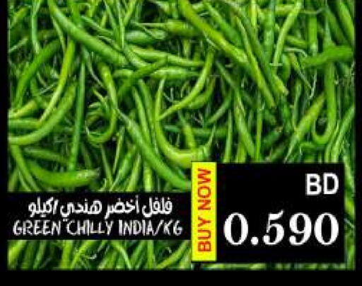 Chilli / Capsicum from India available at Hassan Mahmood Group in Bahrain