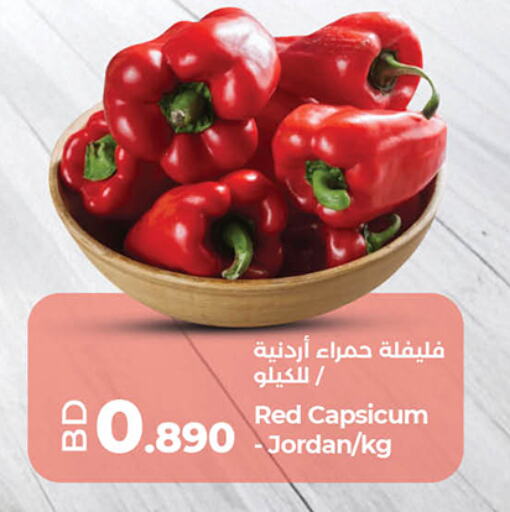 Chilli / Capsicum available at LuLu Hypermarket in Bahrain