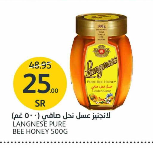 Honey available at AlJazera Shopping Center in KSA, Saudi Arabia, Saudi - Riyadh