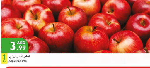 Apples from Iran available at Istanbul Supermarket in UAE - Al Ain