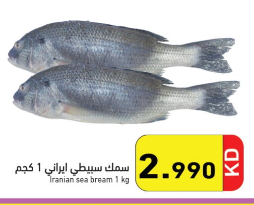 available at Ramez in Kuwait - Jahra Governorate