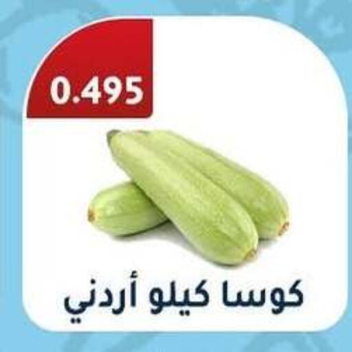 كوسا available at جمعية الرقة التعاونية in الكويت - محافظة الأحمدي