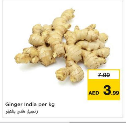 زنجبيل from India available at نستو هايبرماركت in الإمارات العربية المتحدة , الامارات - دبي