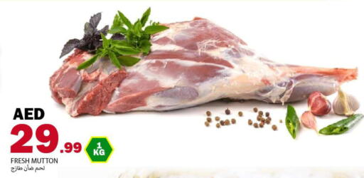 Mutton / Lamb available at Rawabi Market Ajman in UAE - Sharjah / Ajman