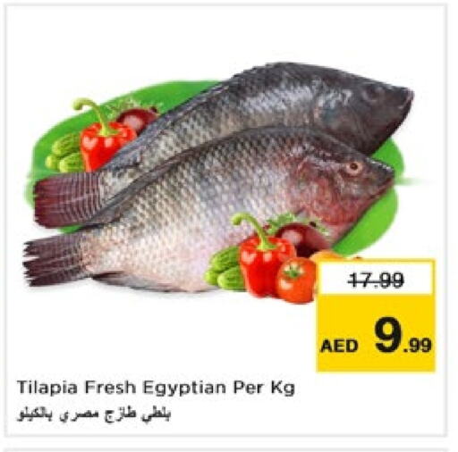 available at Nesto Hypermarket in UAE - Fujairah