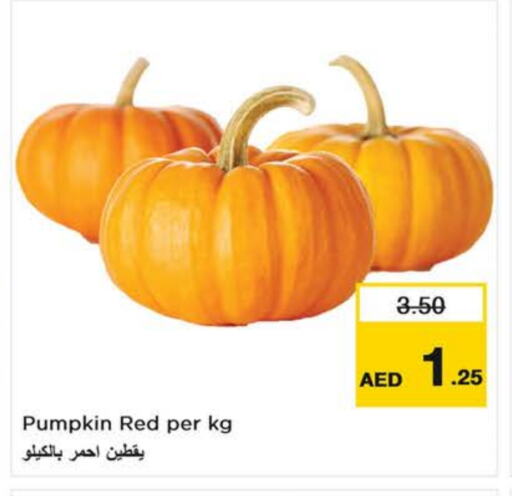 Pumpkin available at لاست تشانس in الإمارات العربية المتحدة , الامارات - الشارقة / عجمان