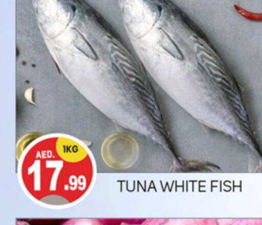 Tuna available at TALAL MARKET in UAE - Dubai