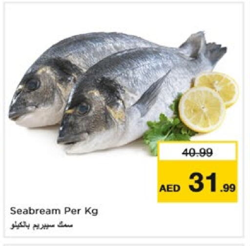 available at Nesto Hypermarket in UAE - Fujairah