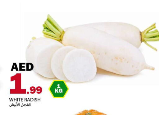 Radish available at Rawabi Market Ajman in UAE - Sharjah / Ajman