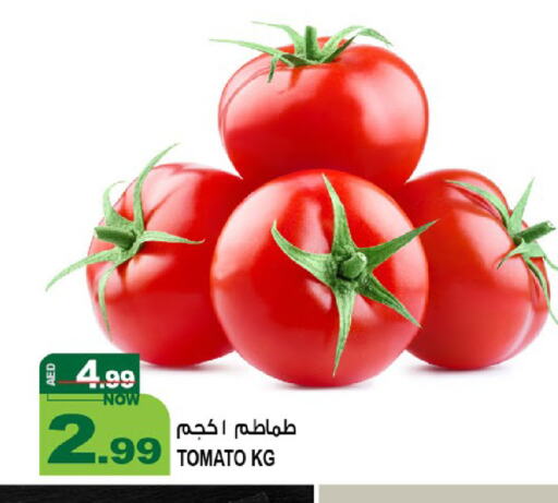 Tomato available at Hashim Hypermarket in UAE - Sharjah / Ajman