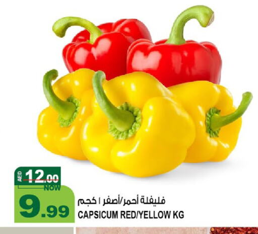 Chilli / Capsicum available at Hashim Hypermarket in UAE - Sharjah / Ajman