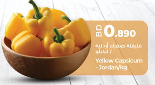 Chilli / Capsicum from Jordan available at LuLu Hypermarket in Bahrain