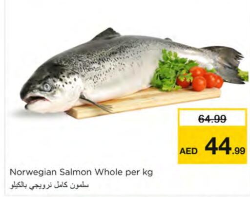 available at Nesto Hypermarket in UAE - Ras al Khaimah