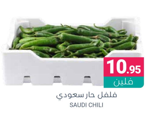 Chilli / Capsicum from Saudi Arabia available at Muntazah Markets in KSA, Saudi Arabia, Saudi - Saihat