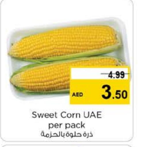 available at Nesto Hypermarket in UAE - Al Ain