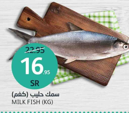 available at مركز الجزيرة للتسوق in مملكة العربية السعودية, السعودية, سعودية - الرياض