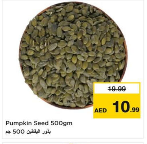 Pumpkin available at لاست تشانس in الإمارات العربية المتحدة , الامارات - الشارقة / عجمان