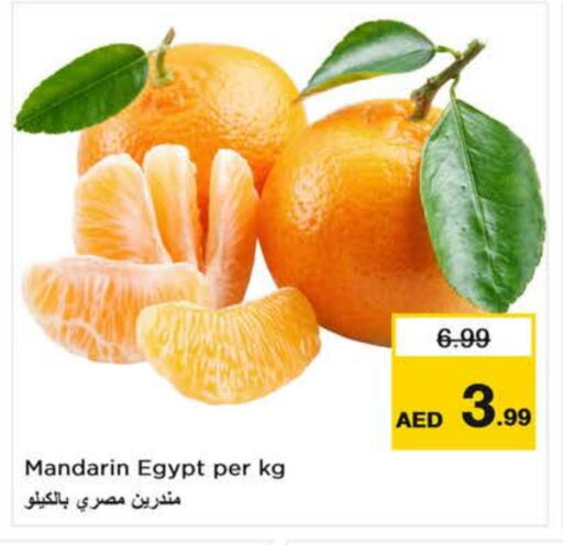 برتقال from Egypt available at لاست تشانس in الإمارات العربية المتحدة , الامارات - ٱلْفُجَيْرَة‎