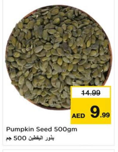 Pumpkin available at لاست تشانس in الإمارات العربية المتحدة , الامارات - ٱلْفُجَيْرَة‎