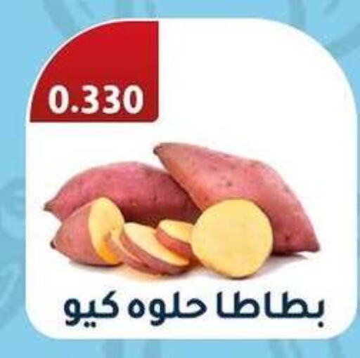 Sweet Potato available at Riqqa Co-operative Society in Kuwait - Ahmadi Governorate