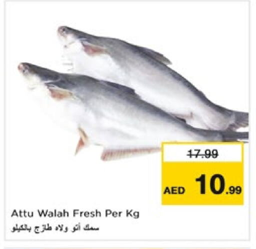 available at Nesto Hypermarket in UAE - Fujairah