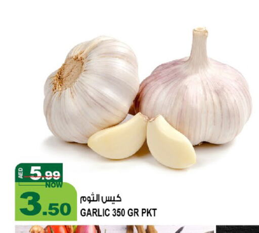 Garlic available at Hashim Hypermarket in UAE - Sharjah / Ajman