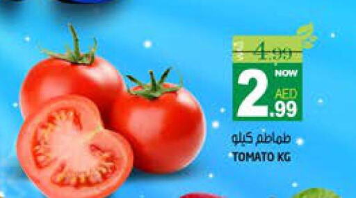 Tomato available at Hashim Hypermarket in UAE - Sharjah / Ajman