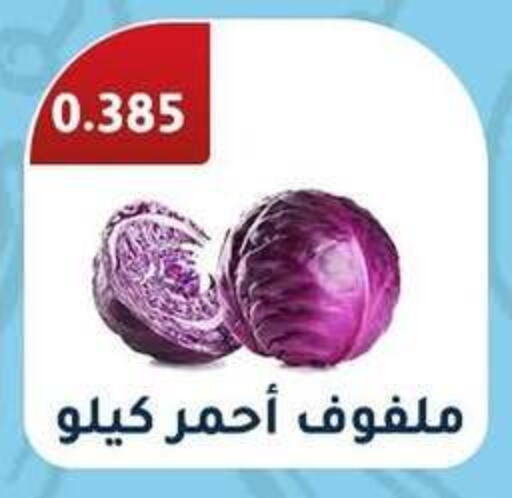 Cabbage available at Riqqa Co-operative Society in Kuwait - Kuwait City