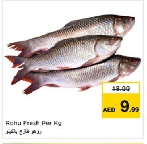 available at Nesto Hypermarket in UAE - Fujairah