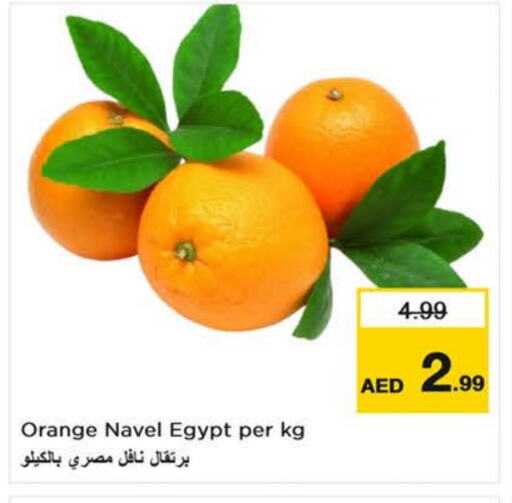 برتقال from Egypt available at لاست تشانس in الإمارات العربية المتحدة , الامارات - الشارقة / عجمان