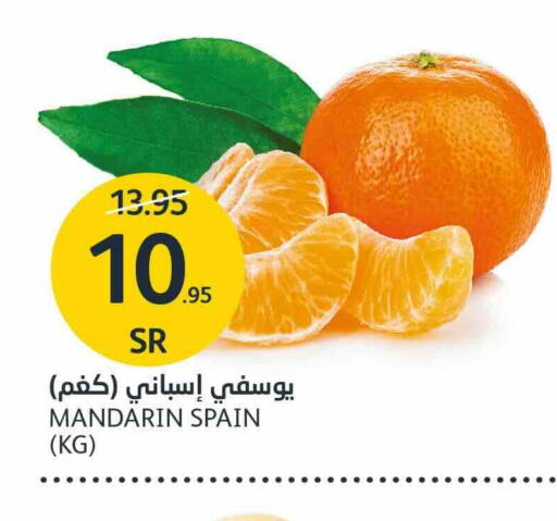 Orange from Spain available at AlJazera Shopping Center in KSA, Saudi Arabia, Saudi - Riyadh