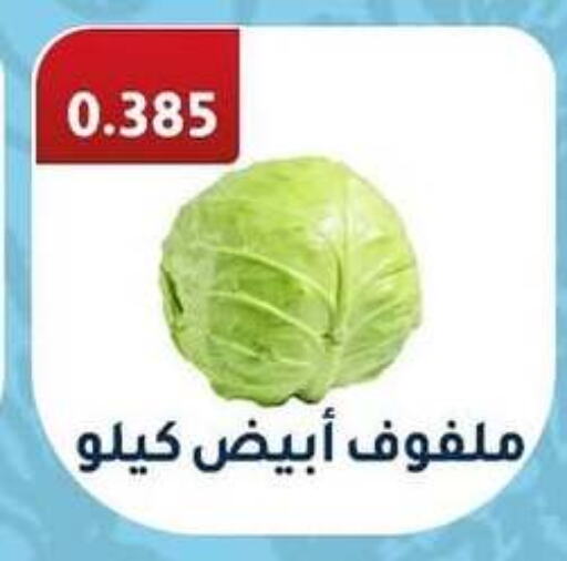 Cabbage available at Riqqa Co-operative Society in Kuwait - Kuwait City