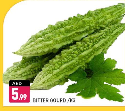 Gourd available at Shaklan  in UAE - Dubai