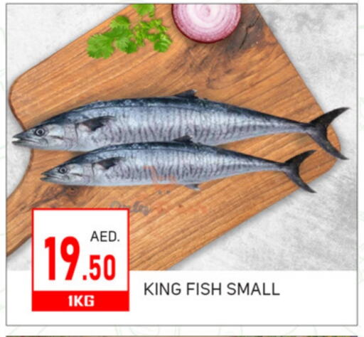 King Fish available at TALAL MARKET in UAE - Dubai