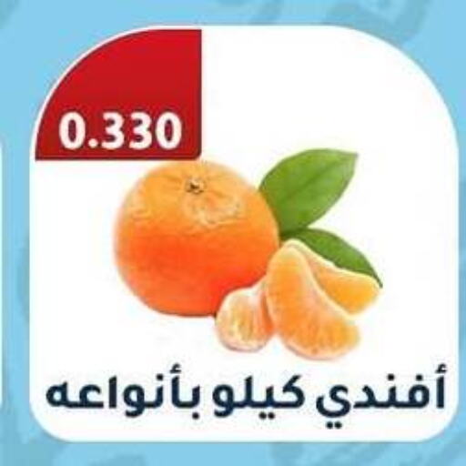 برتقال available at جمعية الرقة التعاونية in الكويت - محافظة الأحمدي