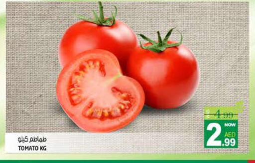 Tomato available at Hashim Hypermarket in UAE - Sharjah / Ajman